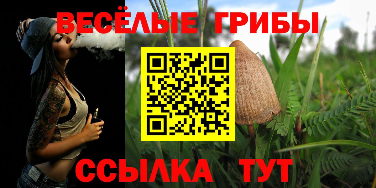 Псилоцибиновые грибы прущие грибы Ульяновск