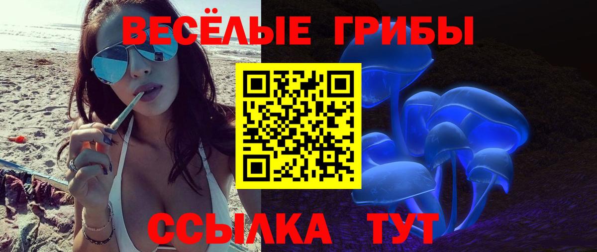Псилоцибиновые грибы Psilocybe  Псилоцибиновые грибы мицелий  Ульяновск  Вход с VPN 