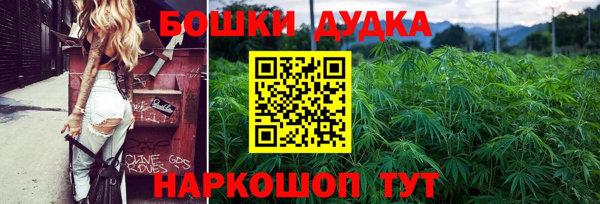Ульяновск  Бошки марихуана Amnesia  Бошки марихуана OG Kush  Канабис план  Вход с VPN  Канабис семена 